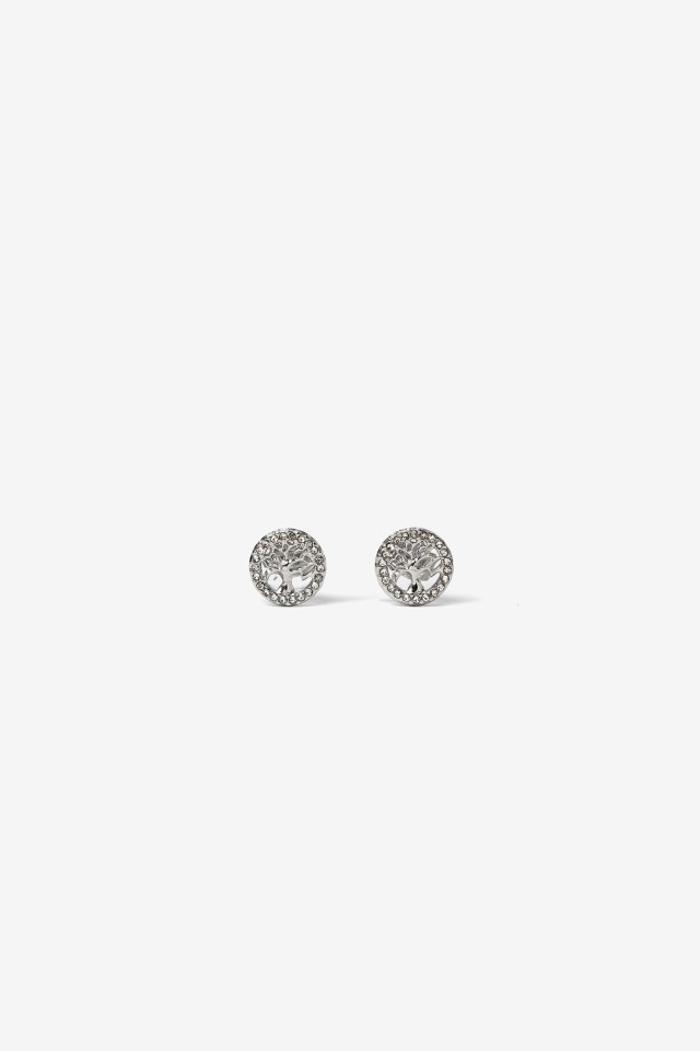 Pendientes de Acero Inoxidable con rbol Brillante