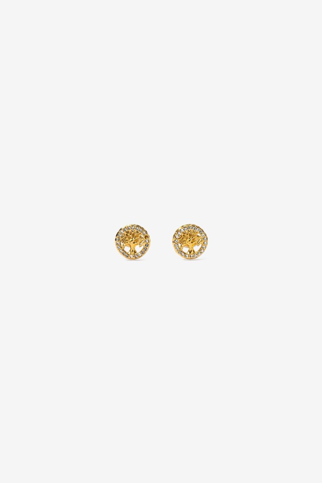Pendientes de Acero Inoxidable con rbol Brillante