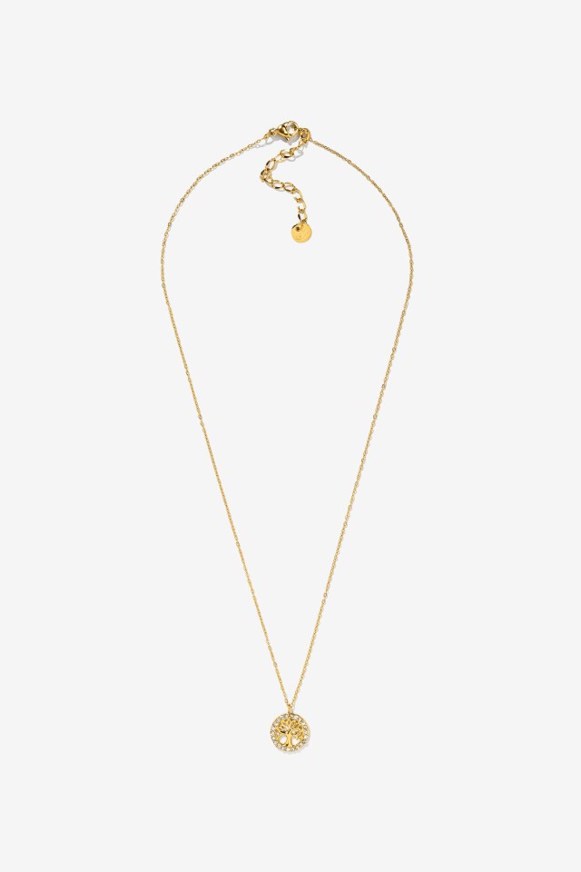 Collar de Acero Inoxidable con rbol Brillante