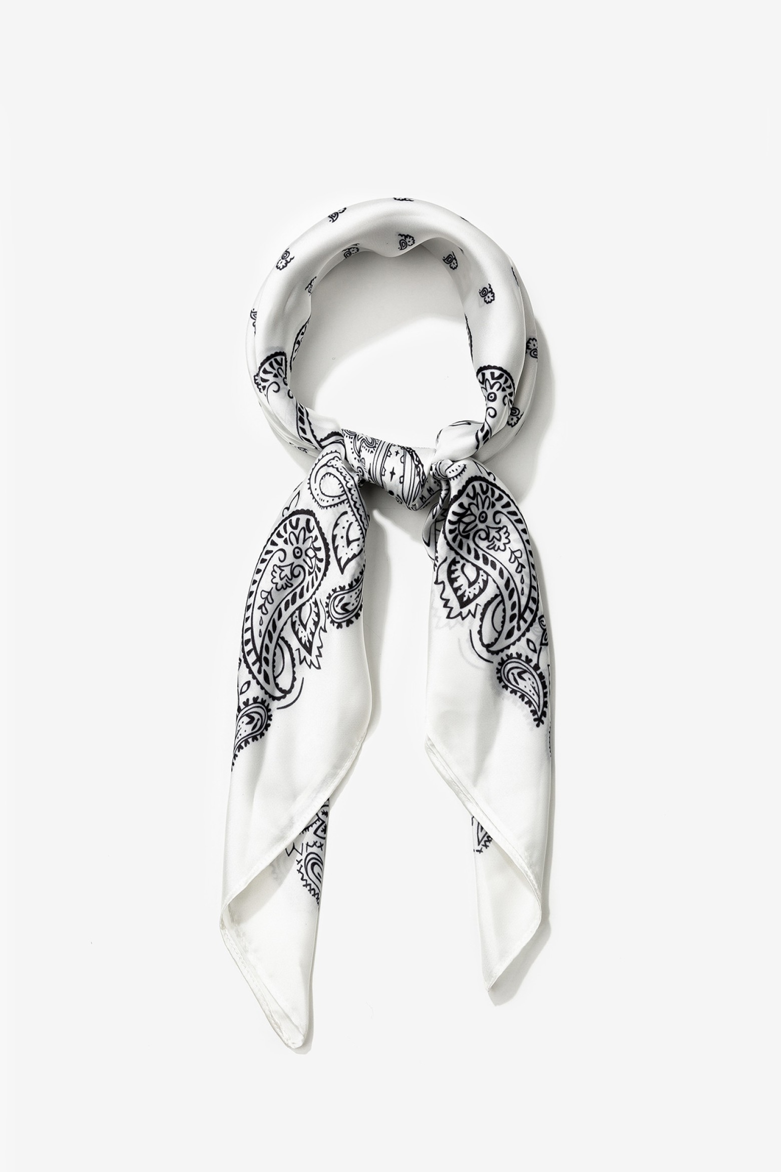 Pauelo con Estampado Paisley