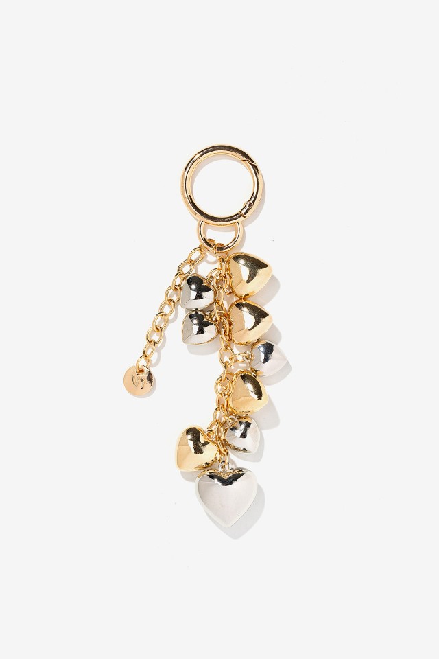 Porta Chaves Charm Coraes Bicolor