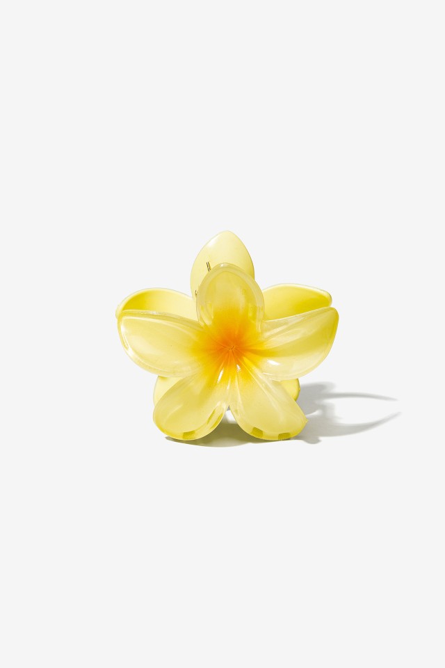 Pinza con Flor Acrlica