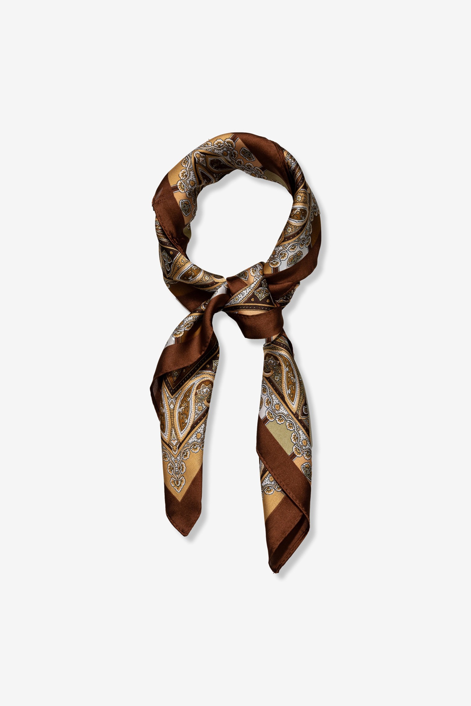 Paisley Satin Bandana