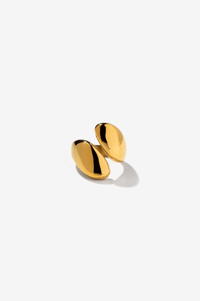 Asymmetric Stainless Steel Ring