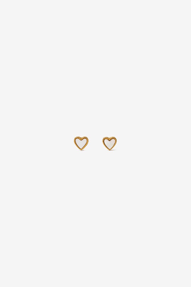 Pendientes De Acero Con Ncar