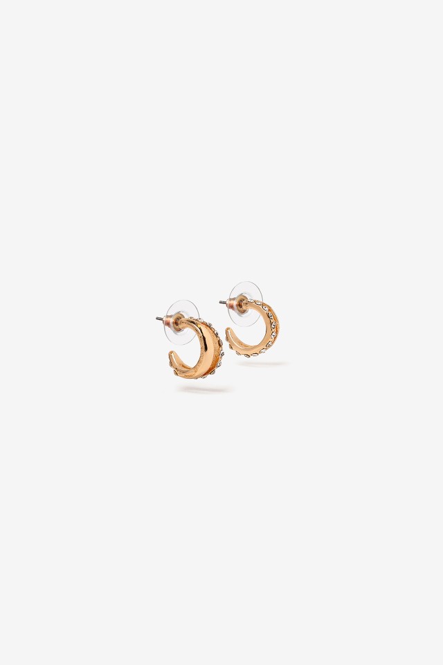 Small Shiny Hoops