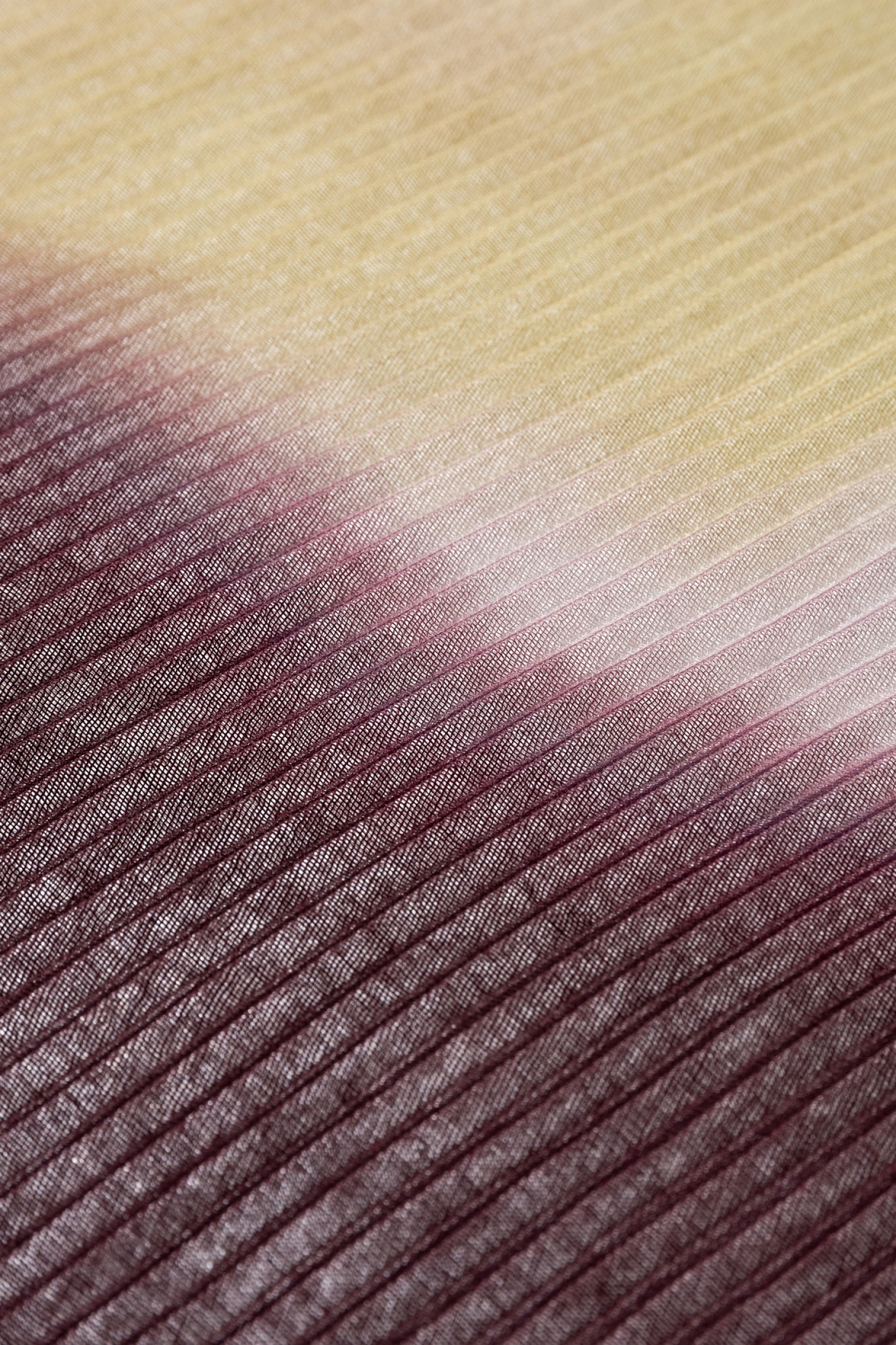 Pleated Scarf with Gradient Print