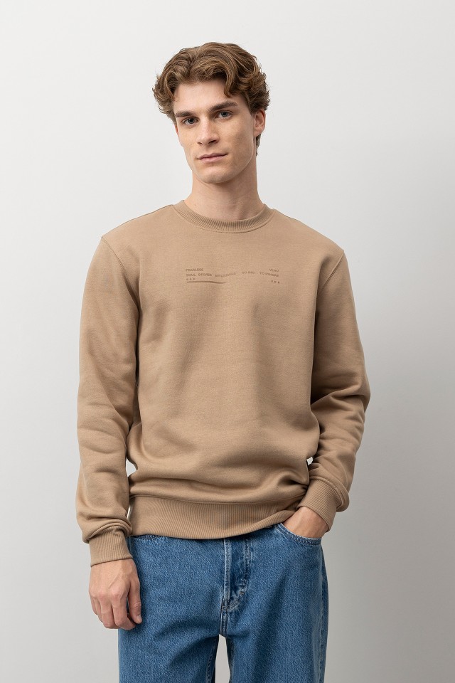 Brown Regular Sweatshirt