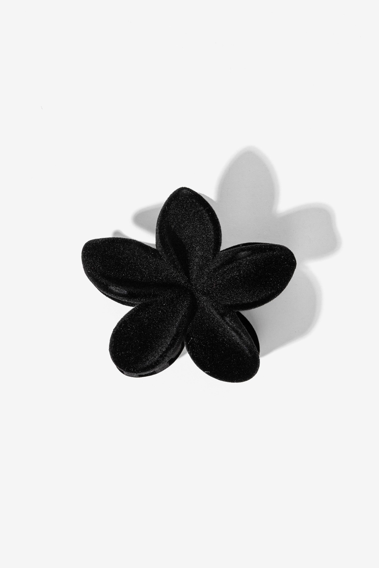 Garra de Cabelo Preta