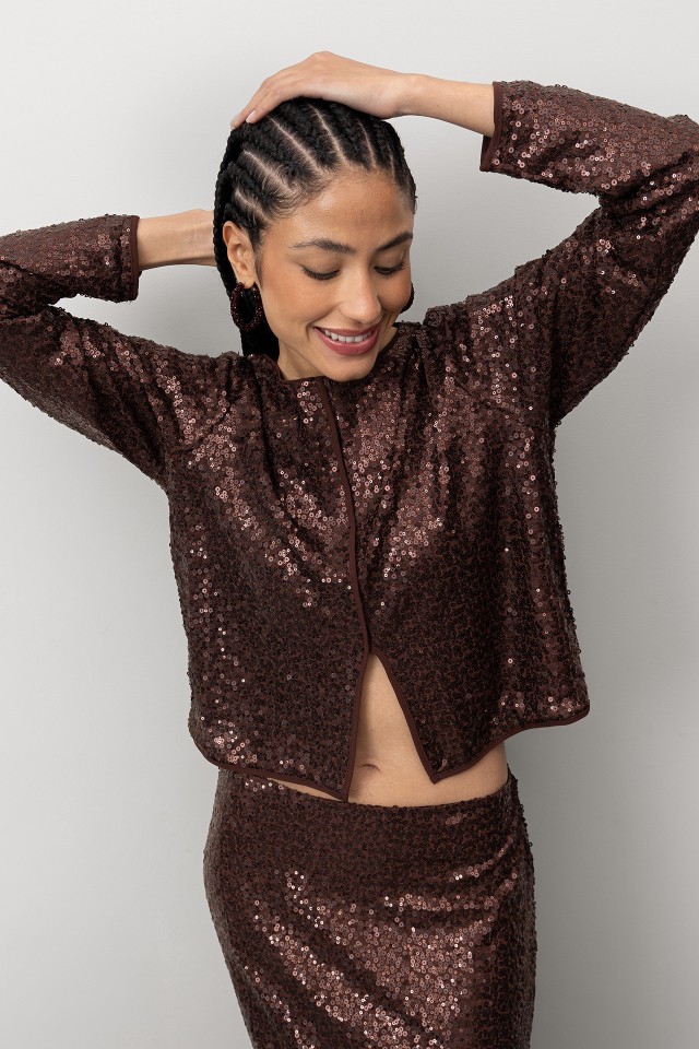 Sparkling Sequin Blouse Sparkling Sequin Blouse