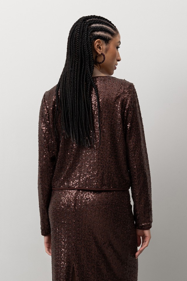 Sparkling Sequin Blouse Sparkling Sequin Blouse