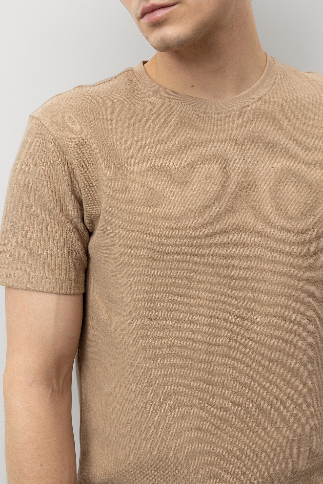 Brown Regular Fit T-Shirt