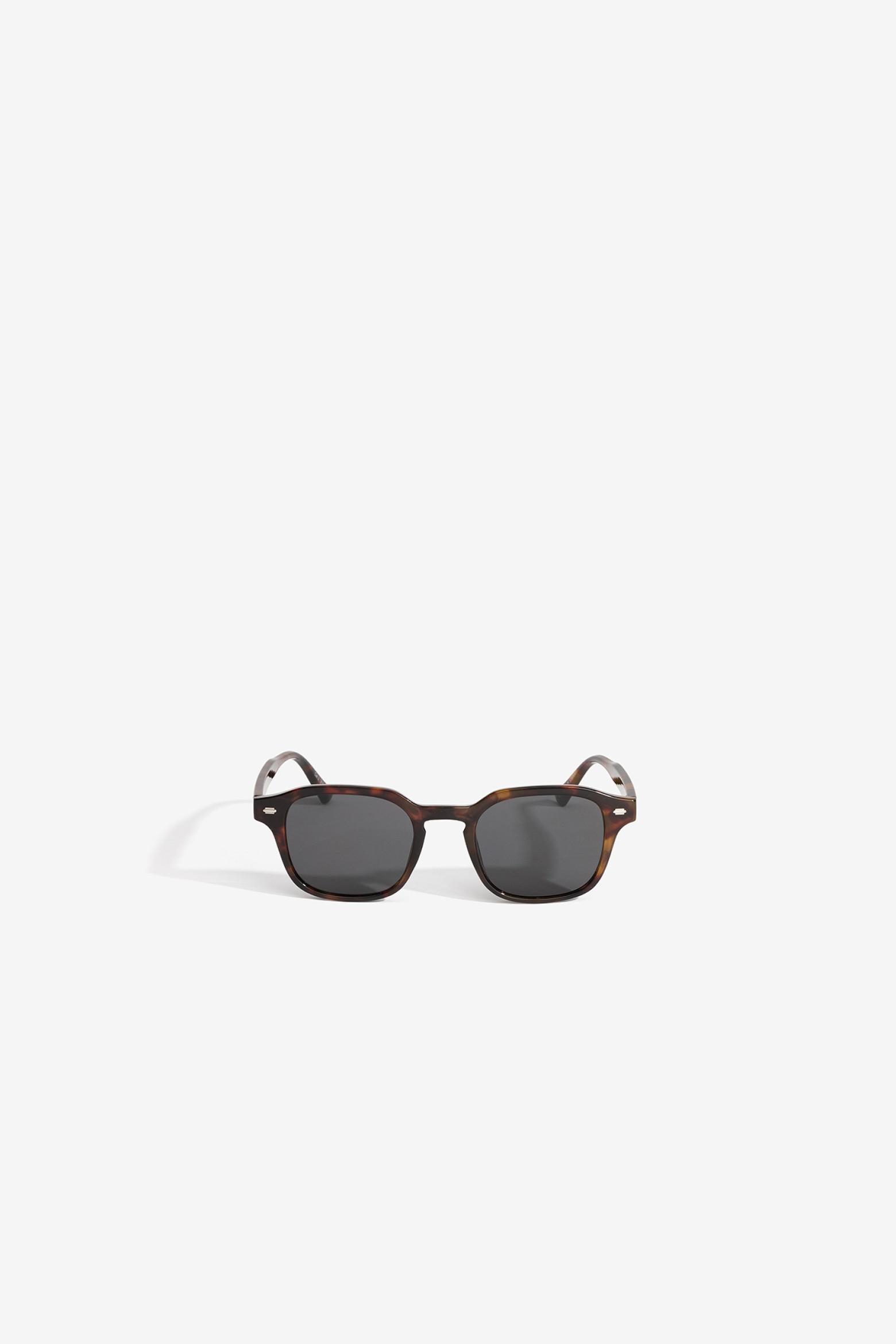 �culos Tartaruga castanho