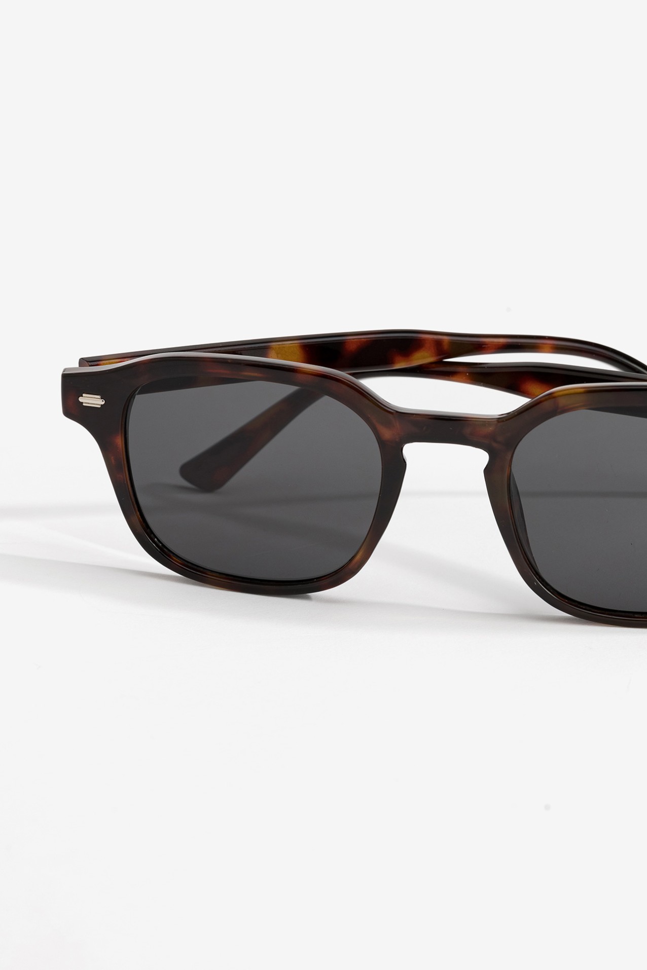 �culos Tartaruga castanho