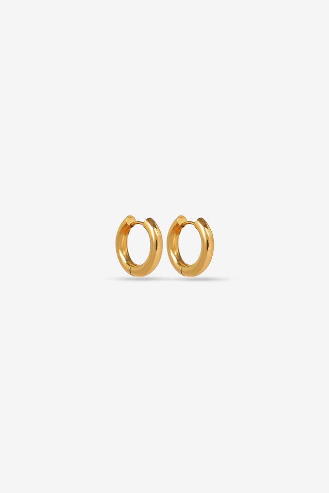 Small Stainless Steel Hoops