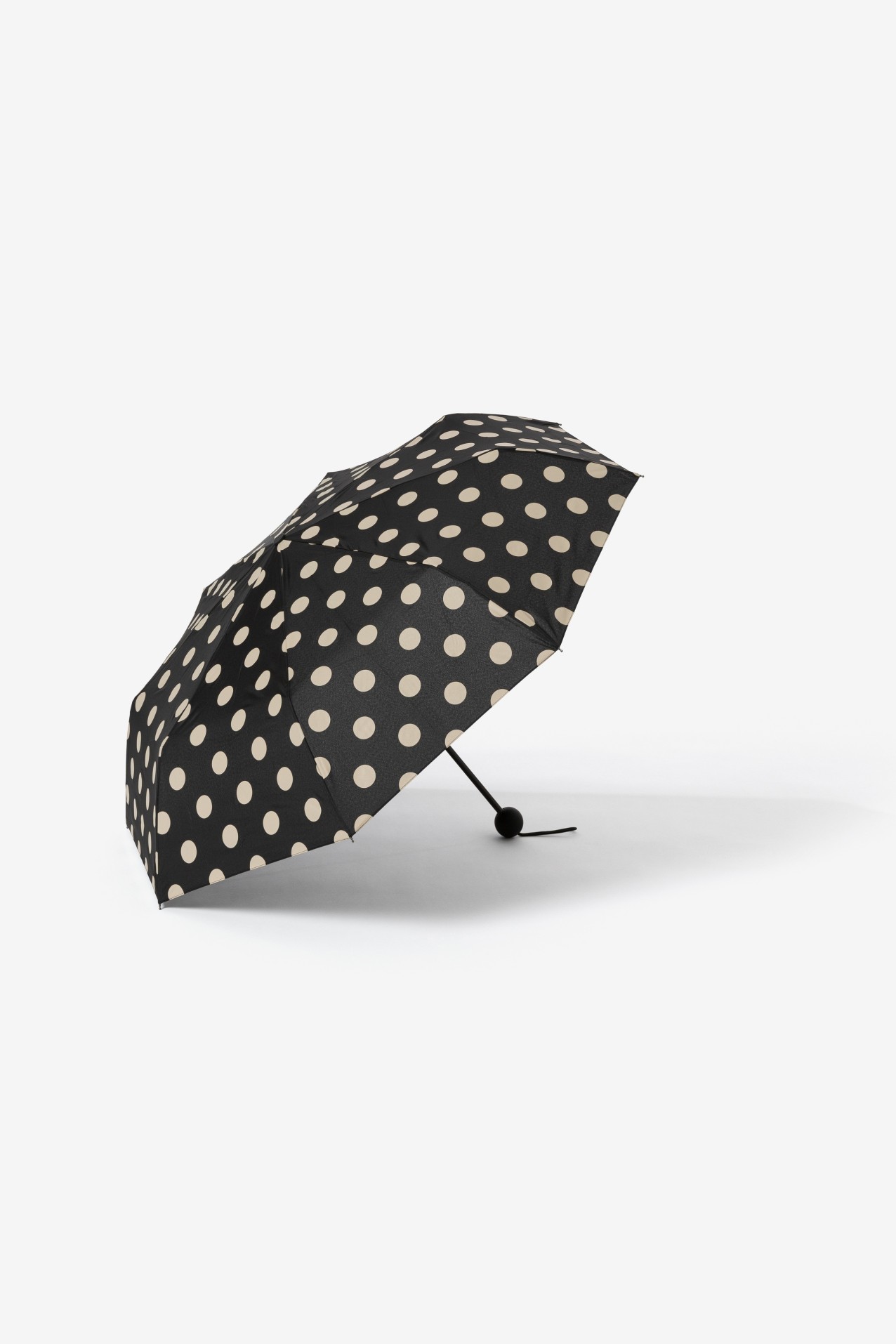 Umbrella