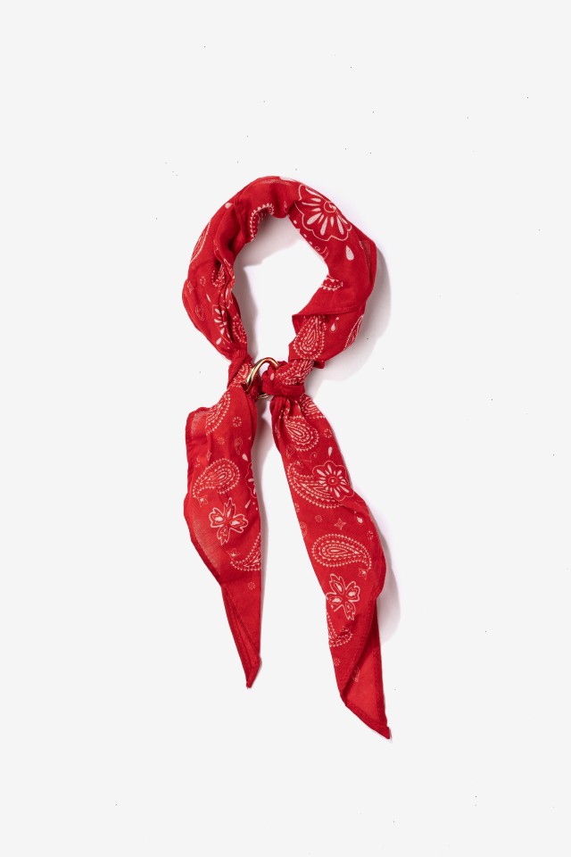 Red Paisley Bandana Skinnies