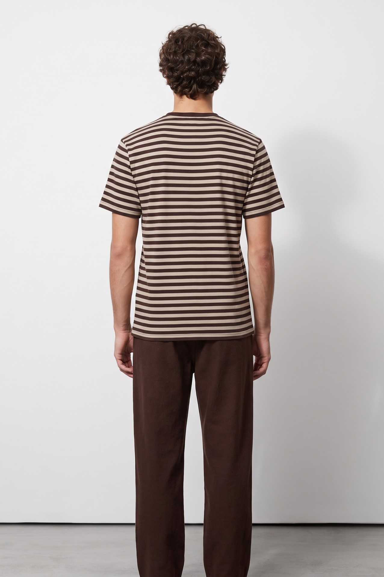 Brown Striped Regular T-shirt