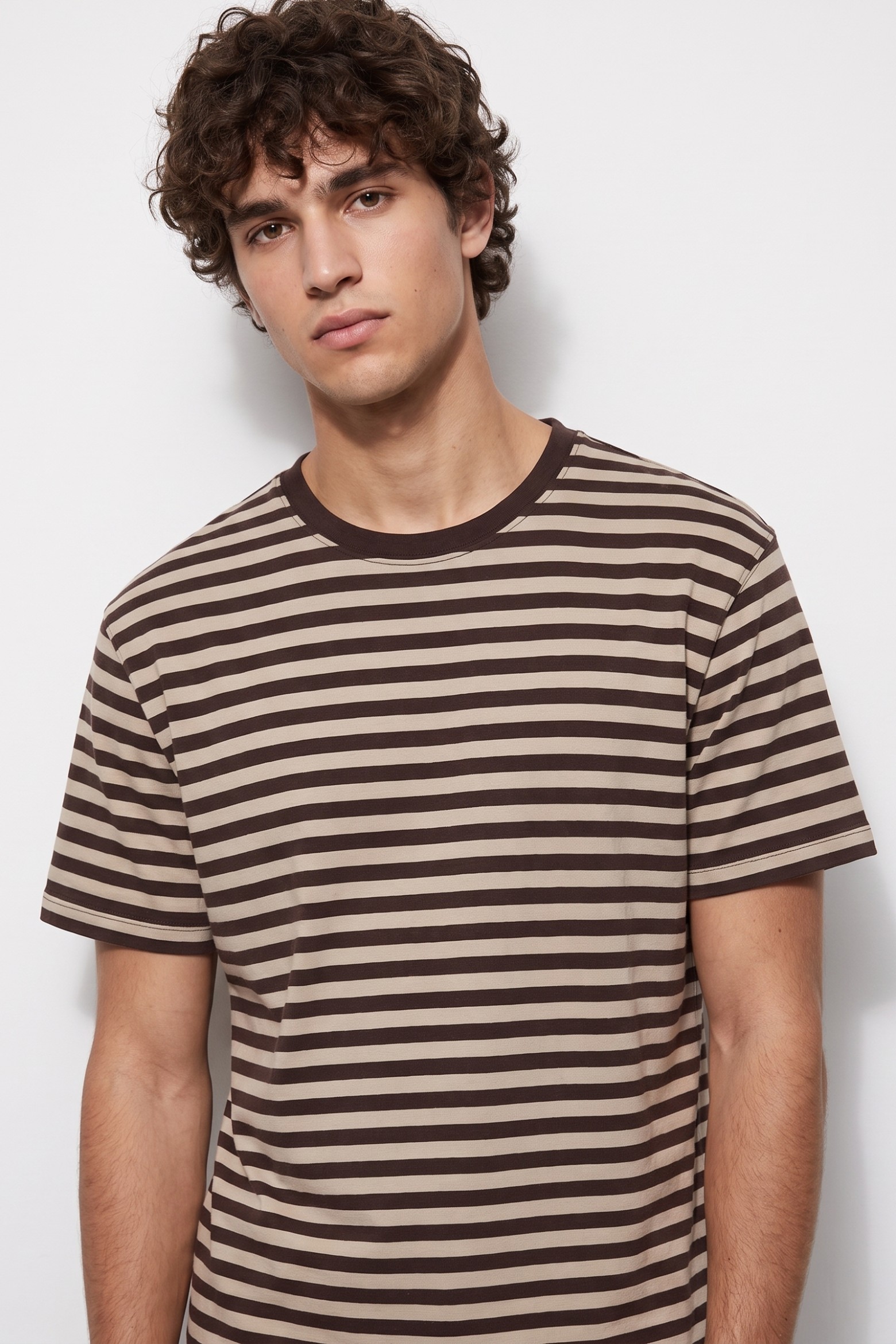 Brown Striped Regular T-shirt