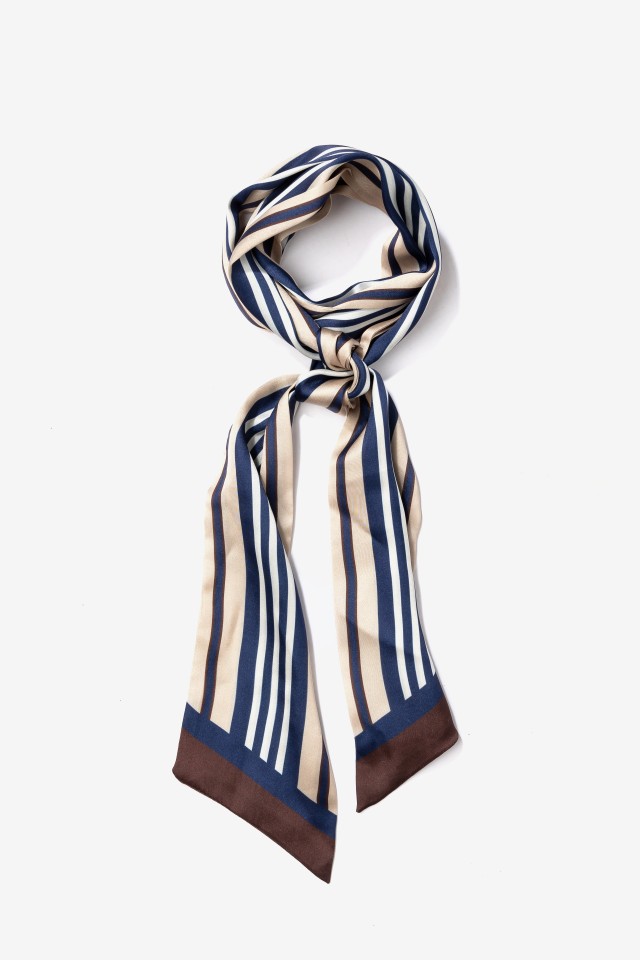 Blue Striped Skinny Scarf
