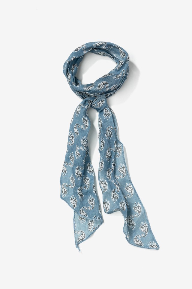 Blue Paisley Skinny Scarf