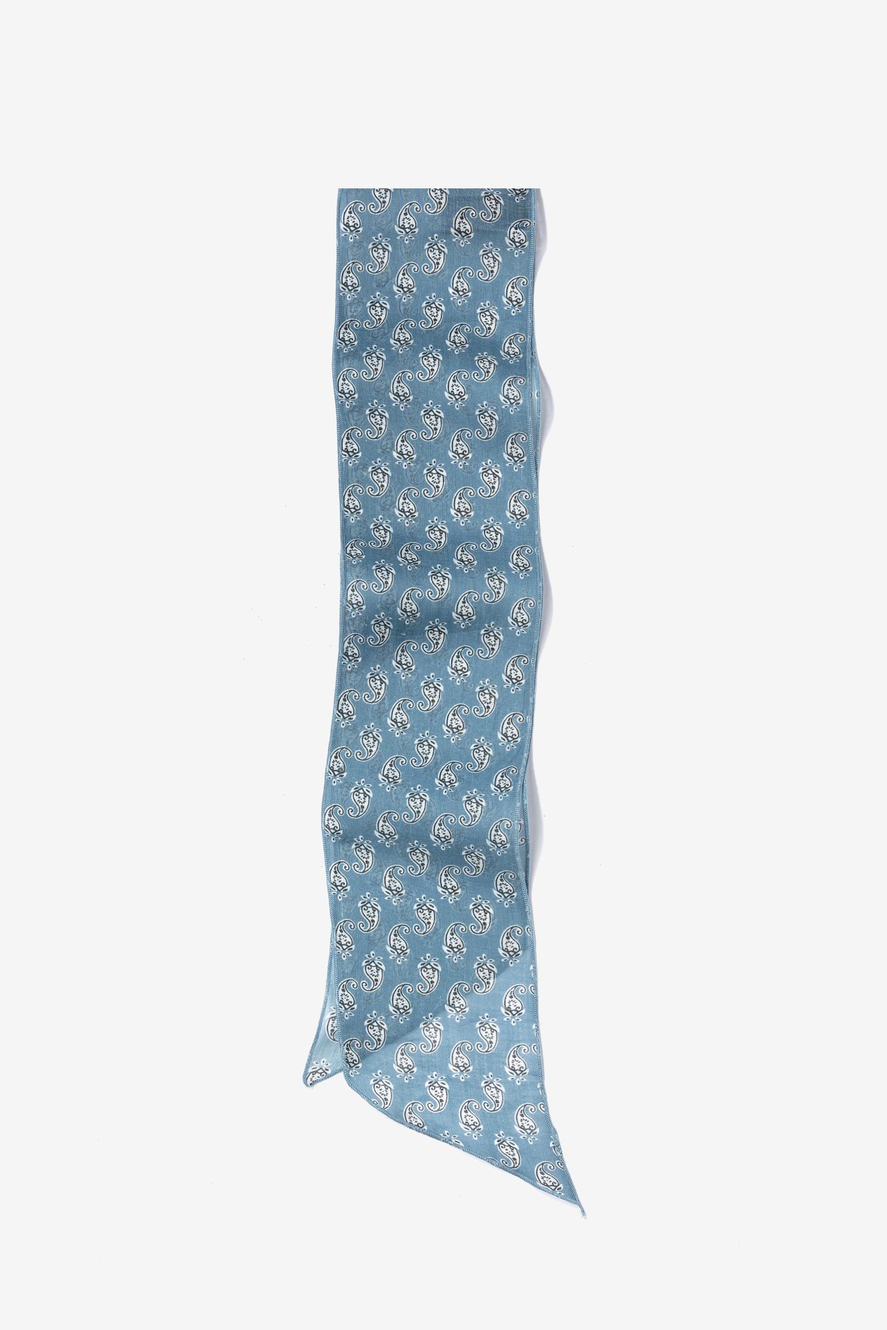 Blue Paisley Skinny Scarf