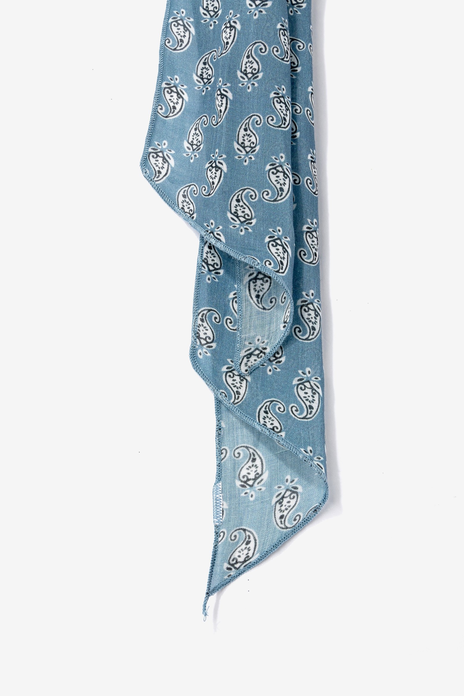 Blue Paisley Skinny Scarf