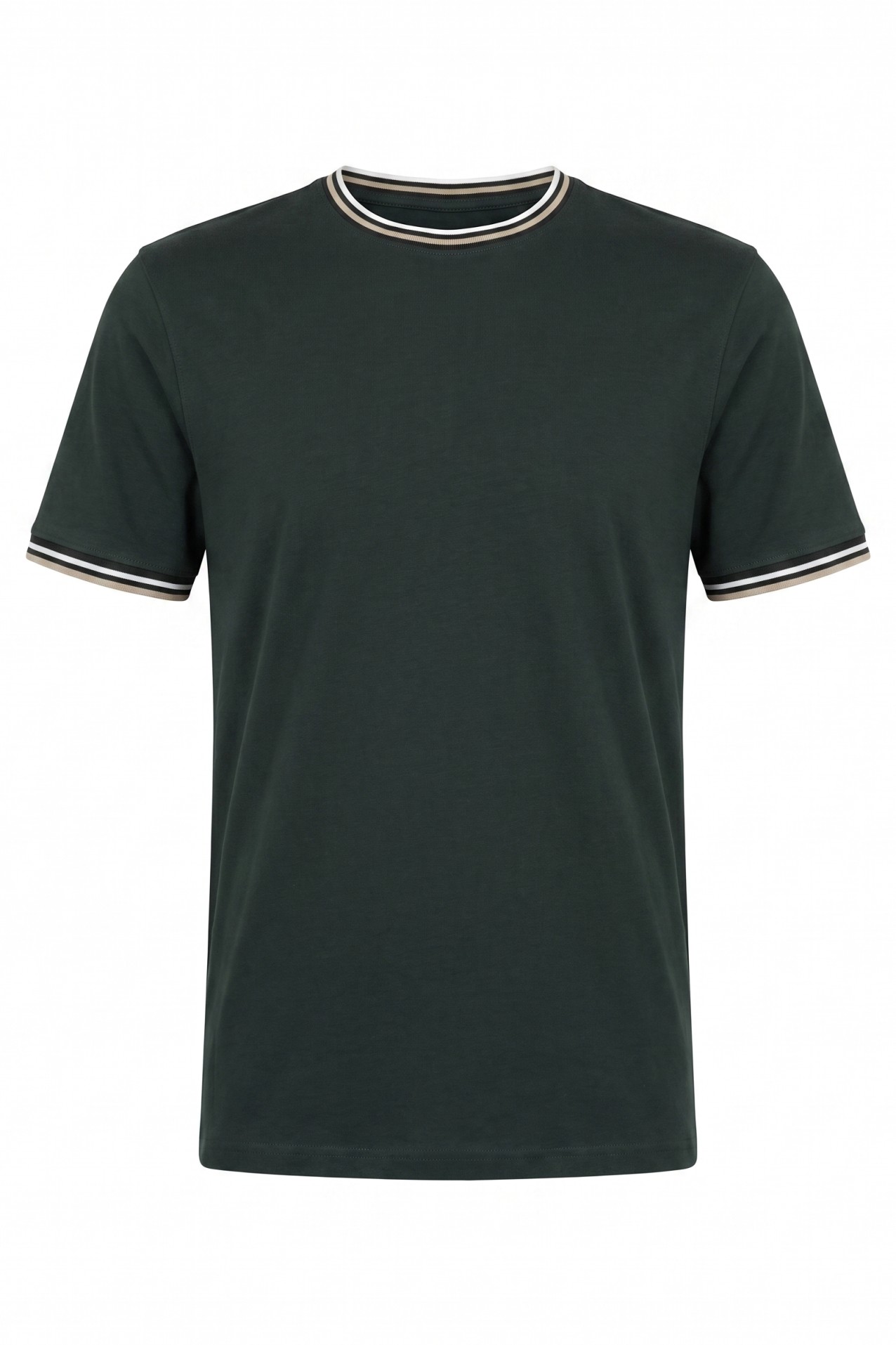 Green Regular Fit T-shirt