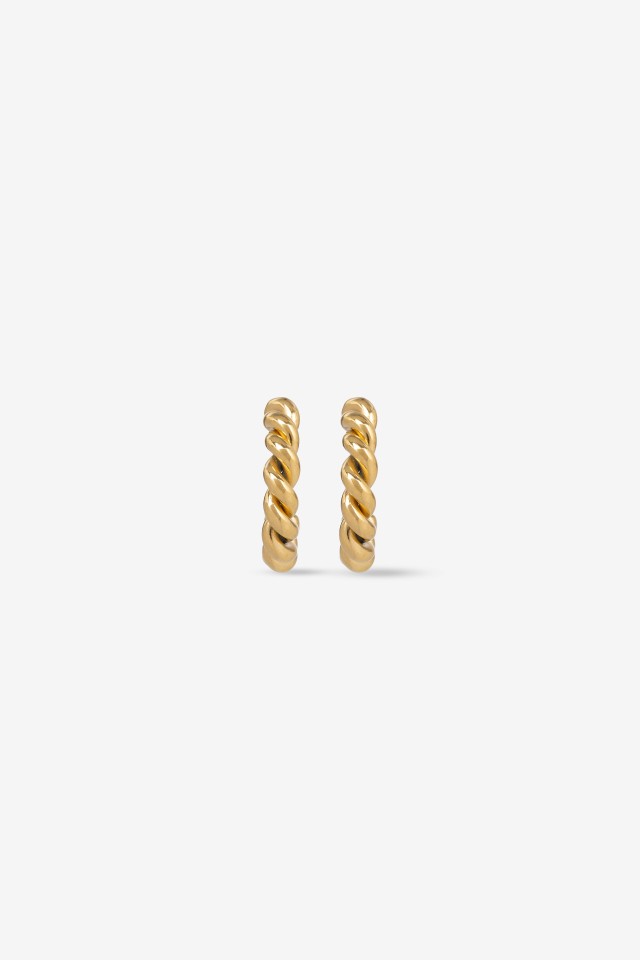 Twisted Stainless Steel Hoops